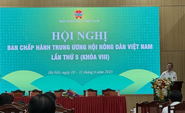 Hợp tác xã Việt Nam kiếm được lớn với nông nghiệp kỹ thuật số và công nghệ cao